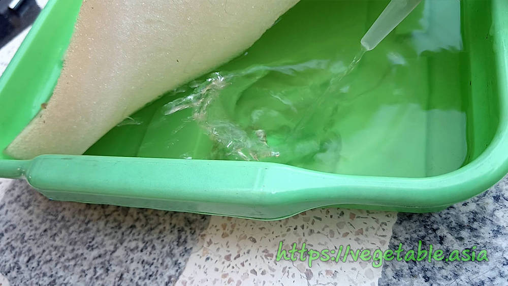 ขั้นตอนปลูกผักไฮโดรโปนิกส์